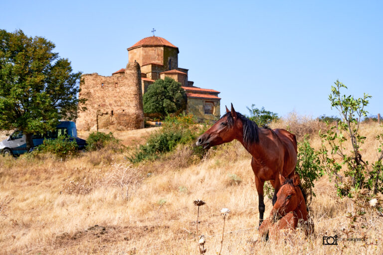 Fotoiskierka fotografia Podróż Gruzja |cerkiew Dżwari | Mccheta