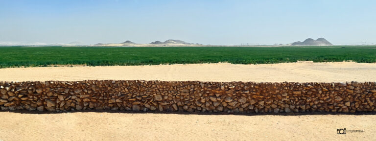 Fotoiskierka Podróż Fotografia Egipt | Pustynia