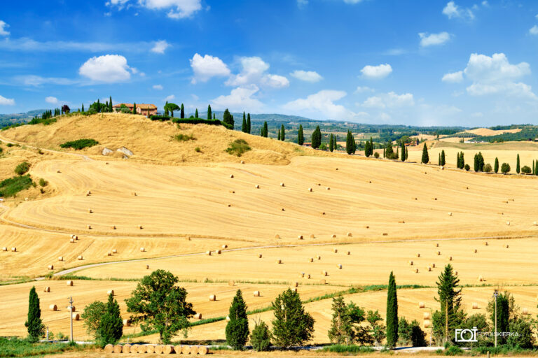 Fotoiskierka, Włochy, Italia, Toskania, Toscana, Droga Gladiatora pośród skoszonych pół (Gladiator's path among mown fields)