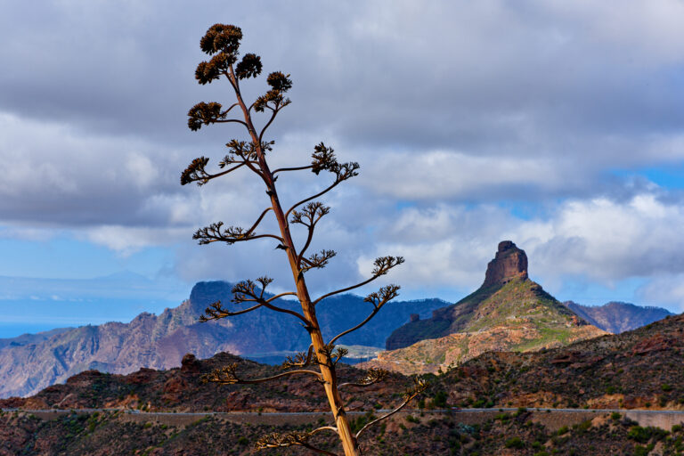 Fotoiskierka, Wyspy Kanaryjskie, Gran Canaria, Ventana del Nublo, widok na góry oraz Teide.