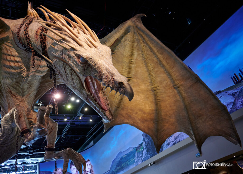 Fotoiskierka Harry Potter- Warner Bros. Studio Tour London, Londyn,