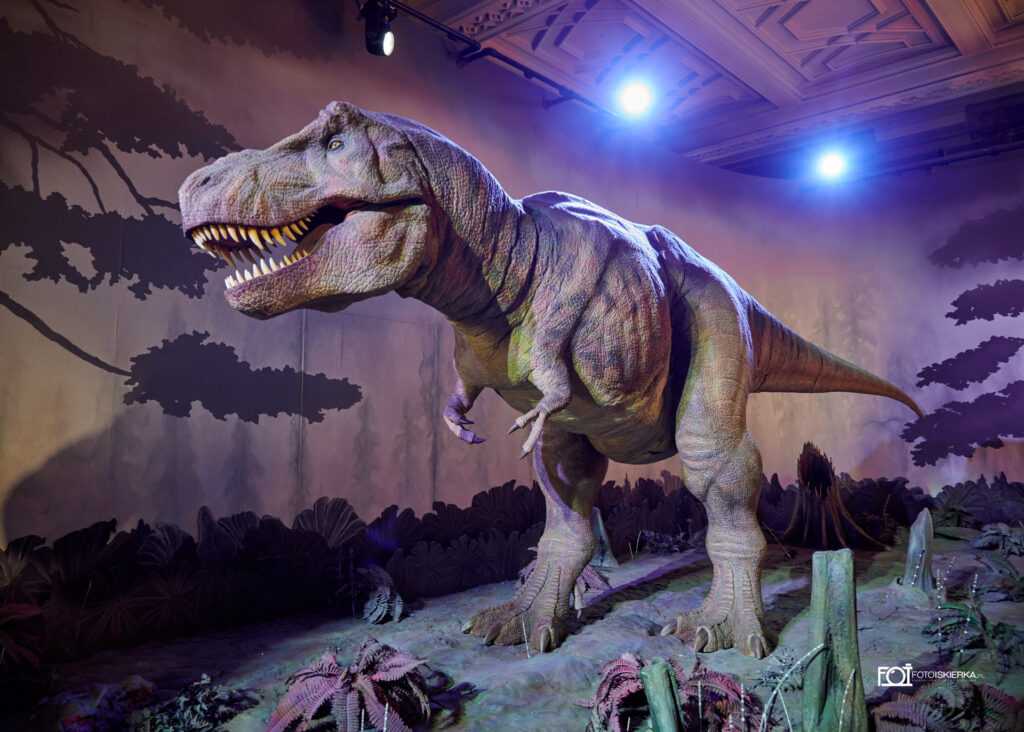 Fotoiskierka Model ruszającego się w różne strony Tyrannosaurus rexa w Muzeum Historii Naturalnej w Londynie  (A model of a Tyrannosaurus rex moving in different directions at the Natural History Museum in London)