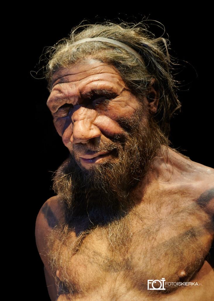 Fotoiskierka Muzeum Historii Naturalnej (The Natural History Museum) w Londynie- Anglia