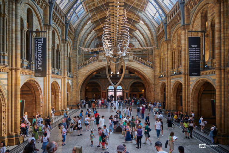 Fotoiskierka Muzeum Historii Naturalnej w Londynie, sala Główna (Natural History Museum, London, Main Hall)