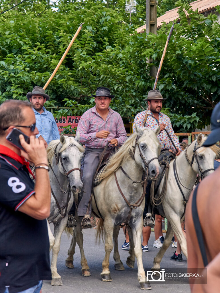 Torreador podczas Beaucaire w Prowansji we Francji taureau
