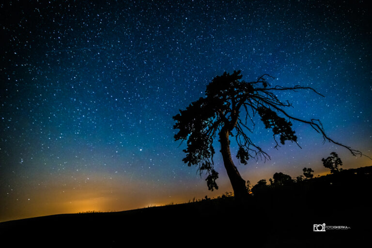 Droga mleczna na tle mazurskiego nieba. Zdjęcie przedstawia samotną sosnę w nocy.
