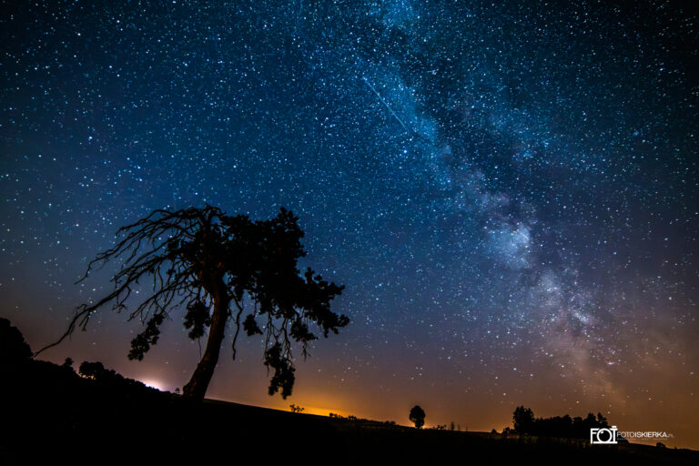 Droga mleczna na tle mazurskiego nieba. Zdjęcie przedstawia samotną sosnę w nocy.