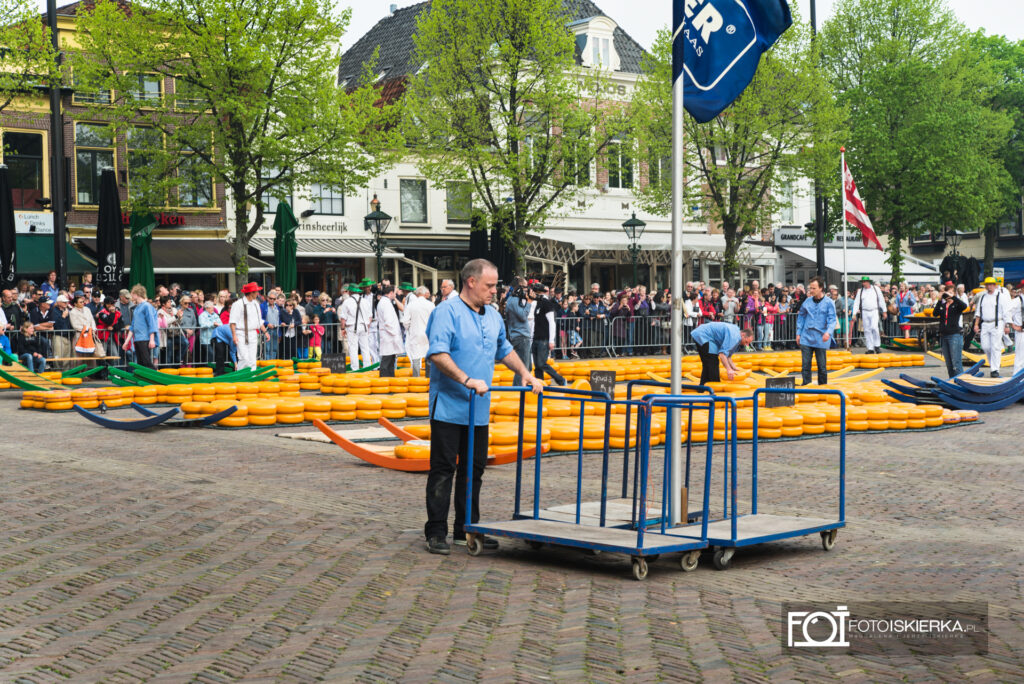 Nederland Alkmar Holandia targ z serami