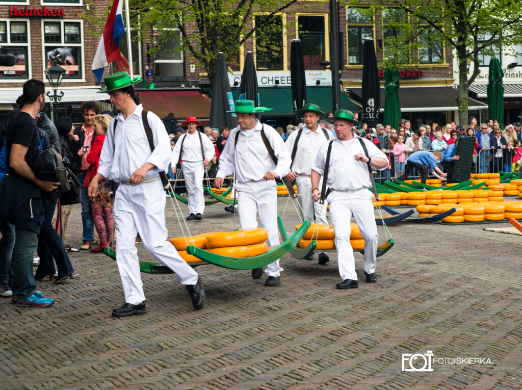 Nederland Alkmar Holandia targ sery fotoiskierka