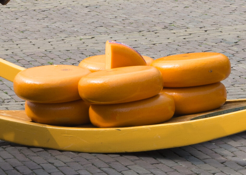 Nederland Alkmar Holandia targ sery fotoiskierka