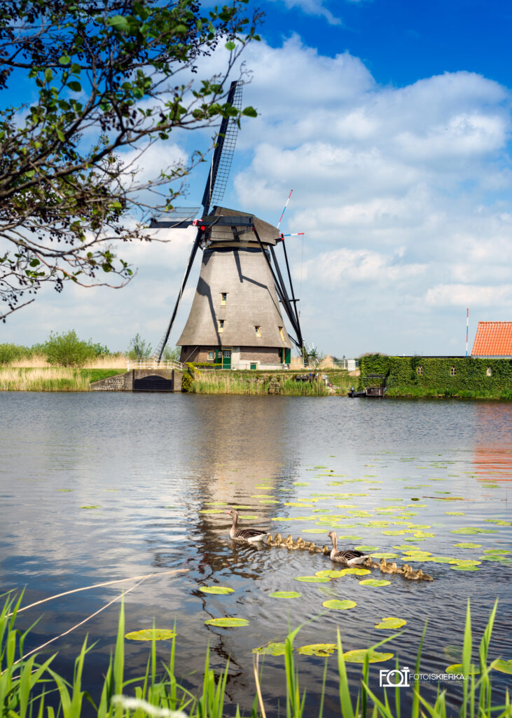 Wiatraki Kinderdijk na grobli w Holandii obecnej Nederland.