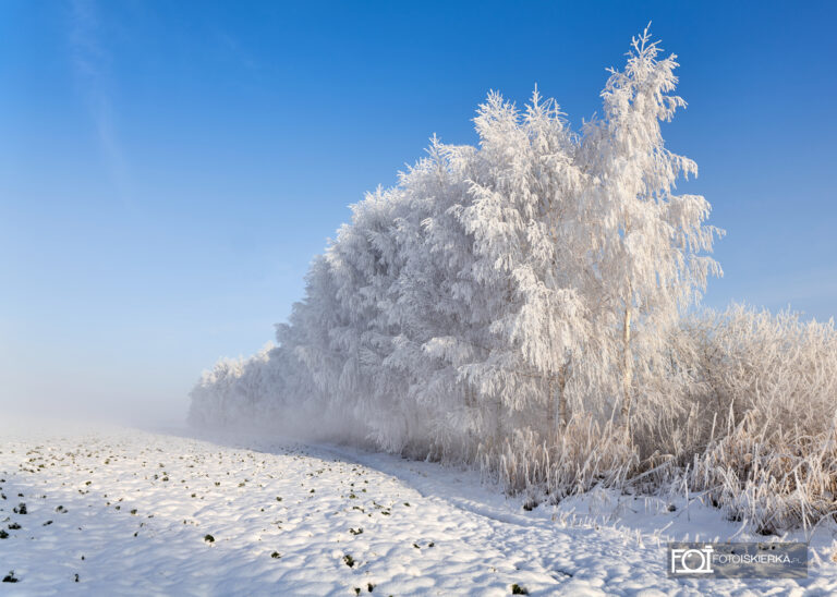 Zima na Mazurach w Polsce w Stanowie. W tle zamarznięte jezioro, ośnieżone pole