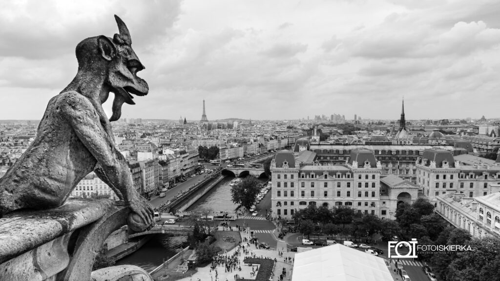 Chimera- Gargulec na wieży Notre Dam w Paryżu we Francji. Chimera- Gargoyle on the Notre Dam tower in Paris, France