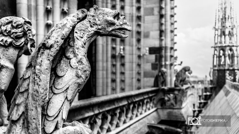 Chimera- Gargulec na wieży Notre Dam w Paryżu we Francji. Chimera- Gargoyle on the Notre Dam tower in Paris, France
