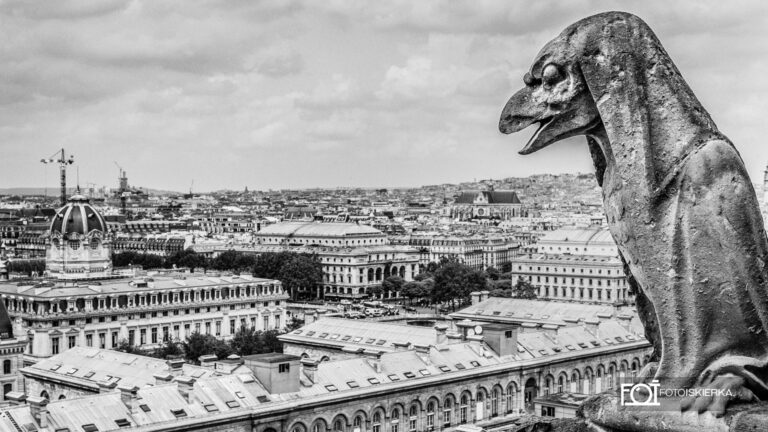 Chimera- Gargulec na wieży Notre Dam w Paryżu we Francji. Chimera- Gargoyle on the Notre Dam tower in Paris, France