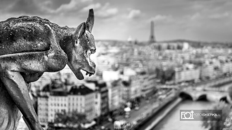 Chimera- Gargulec na wieży Notre Dam w Paryżu we Francji. Chimera- Gargoyle on the Notre Dam tower in Paris, France