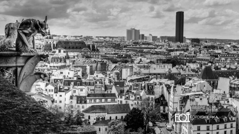 Chimera- Gargulec na wieży Notre Dam w Paryżu we Francji. Chimera- Gargoyle on the Notre Dam tower in Paris, France