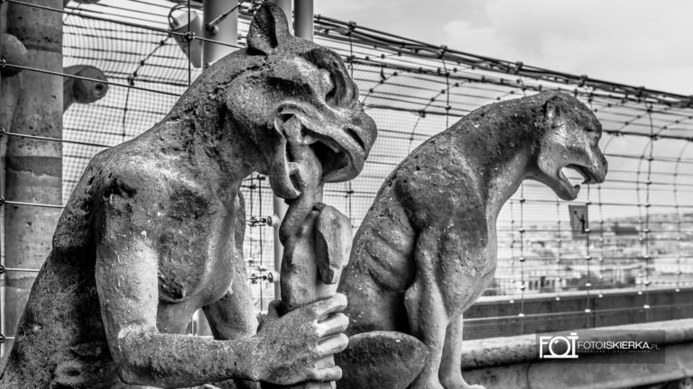 Chimera- Gargulec na wieży Notre Dam w Paryżu we Francji. Chimera- Gargoyle on the Notre Dam tower in Paris, France