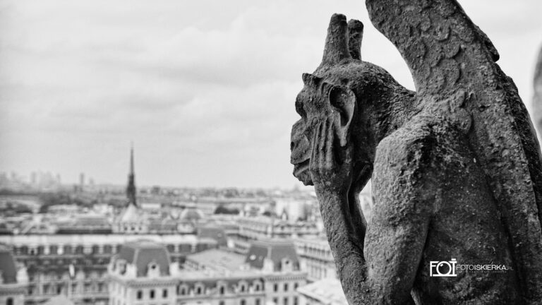 Chimera- Gargulec na wieży Notre Dam w Paryżu we Francji. Chimera- Gargoyle on the Notre Dam tower in Paris, France