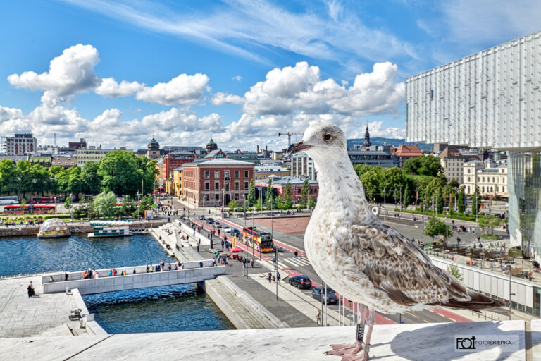 Oslo Norwegia Opera Oslofjorden
